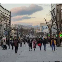 بساط فردوسی