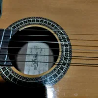 گیتار آریا Ak 300E|گیتار، بیس، امپلیفایر|تهران, دربند|دیوار