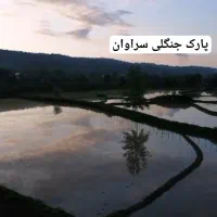 اجاره سوییت،دوهزار متر باغ و ویلا150متری|اجارهٔ کوتاه‌مدت آپارتمان و سوئیت|سنگر, |دیوار