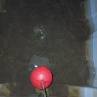 نظافت و شستشوی داخل منبع آب|خدمات نظافت|رشت, توشیبا|دیوار