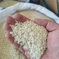 برنج پاکستانی ۳۸۶ رویال طبیعت خاطره|عمده‌فروشی|کهریزک, |دیوار