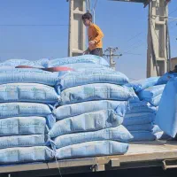 آرد گلستان|عمدهفروشی|زابل, |دیوار