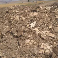 خرید و فروش کود مرغی|عمدهفروشی|تیکمه داش, |دیوار