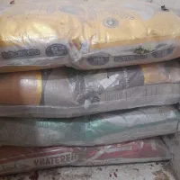 شیبان|عمده‌فروشی|باوی, |دیوار