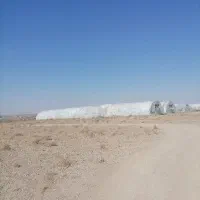 فروش گلخانه صنعتی  7 هزارمتر زمین و2500 متر گلخانه