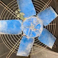 دمنده سایز۵۰