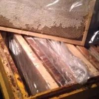 عسل طبیعی سرعین|خوردنی و آشامیدنی|اندیشه, شهرک مریم|دیوار