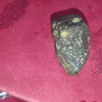 سنگ سنگ‌های دنبال یک آدم کار درست ممنون|جواهرات|سبزوار, هفت تیر|دیوار