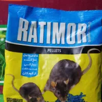 سمپاشی تضمینی کلیه حشرات خانگی(مخصوصاساس) وجوندگان|خدمات نظافت|تهران, پامنار|دیوار