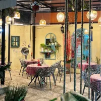 استخدام سالندار