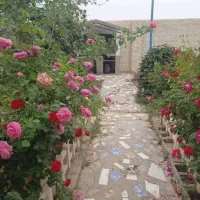 فروش-ویلا-باغ-700متر-نزدیک-به-جاده-اصلی