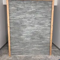 سنگ شیل سیلیسی