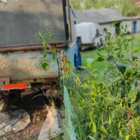 نیسان تصادفی مدل 64|خودرو سواری و وانت|کوچصفهان, |دیوار