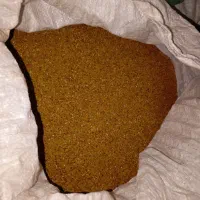 بزر یونجه