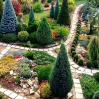 طراحی، اجرا و نگهداری فضای سبز، باغ و ویلا