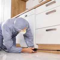 سمپاشی تخصصی