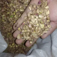 مغز پسته فندوقی|عمده‌فروشی|بردسکن, |دیوار