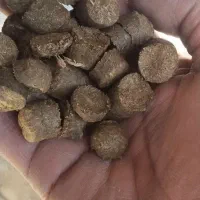 پلیت خوراک دام