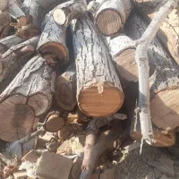 فروش چوب باغی|عمدهفروشی|اسفندقه, |دیوار