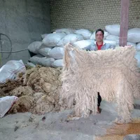پشم فروشی نوید محمدفام