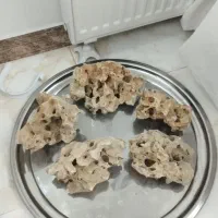 سنگ حفره داره آکواریوم سیف