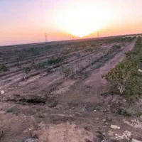 باسلام یک هکتار باغ پسته با ۶ساعت اب