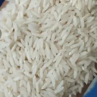 برنج هاشمی کاملا ارگانیک خوش طعم و خوش پخت خوش پخت