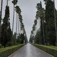 14-قصب-زمین-فروشی-درب-حیاط
