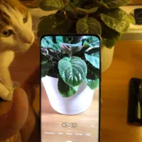 xiaomi mi 12