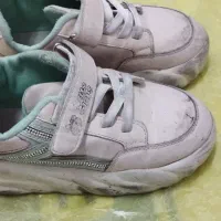 کتونی وصندل ونیم بوت|کیف، کفش، کمربند|پاکدشت, پارچین|دیوار