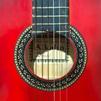 گیتار کلاسیک مدل آلکالین|گیتار، بیس، امپلیفایر|رشت, گلسار|دیوار