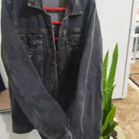 کت جین نو نو