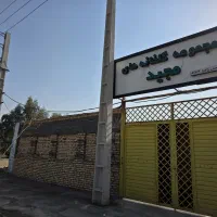 گلخانه فروش در حال کشت خیار