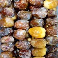 رطب کبکاب عمده بهبهان