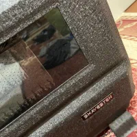 بخاری گازی نو|بخاری، هیتر، شومینه|گنبد کاووس, |دیوار