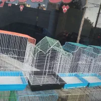 کلکسیون قفس های پرنده|لوازم جانبی حیوانات|تربت‌حیدریه, شهید قرنی|دیوار