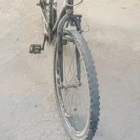 دوچرخه|دوچرخه، اسکیت، اسکوتر|شریف‌آباد, |دیوار