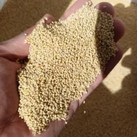 ارزن بوجاری شده|لوازم جانبی حیوانات|کمیجان, |دیوار