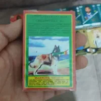 ترقه سیگارت ۶۰ عددی پلمپ و بدونه نم