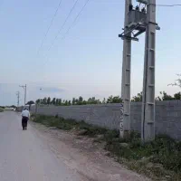باغچه