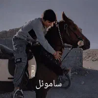 اسب عرب