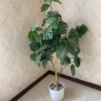 گل با گلدان