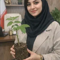 فروش انواع نهال میوه با ضمانت