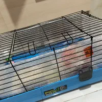 قفس جوندگان