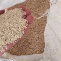 فروش برنج هاشمی|خوردنی و آشامیدنی|چمستان, |دیوار