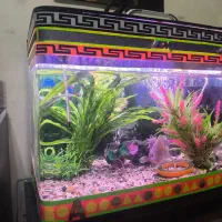 فروش آکواریوم