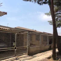 خانه-چوبی-منازل-امیر-کبیر-شاهین-شهر