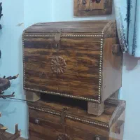 استند گل تنه درختی|گل و گیاه طبیعی|قم, باجک دو|دیوار