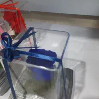 گل رز جاودان|گل و گیاه طبیعی|الوند, |دیوار