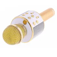 میکروفن و اسپیکر مدل WS-858 ویژه